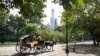 El papa Francisco recorrerá en procesión el parque central de Nueva York conocido como Central Park.