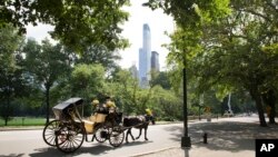 El papa Francisco recorrerá en procesión el parque central de Nueva York conocido como Central Park.