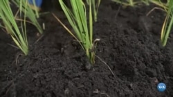 Um ano depois do ciclone Idai, Sofala ainda precisa de ajuda humanitária