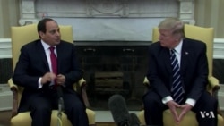 Trump Pledges His Support of Egypt