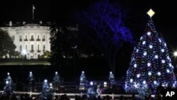 美國白宮前擺放的聖誕樹和裝飾擺設