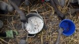 FILE - Children collect grain spilled on a field from food aid bags that ruptured upon ground impact following a food drop from a plane at a village in Ayod county, South Sudan, Feb. 6, 2020.