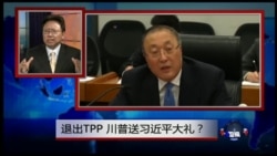 焦点对话：退出TPP，川普送习近平大礼？