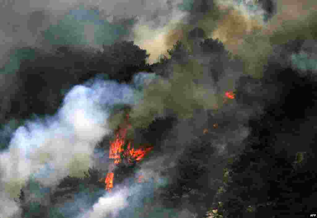 레바논 북부 지역에 대형 산불이 발생했다. 