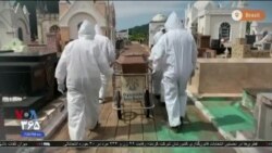 اخبار شامگاهی