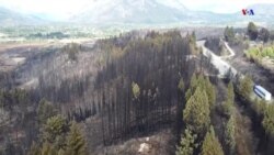 Արգենտինայի Պատագոնիայի շրջանում բռնկված մեծ հրդեհները ծանր հետևանքներ են թողել