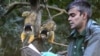 A zoo keeper counts squirrel monkeys during the annual stocktake at London Zoo in London, Jan. 3, 2025.