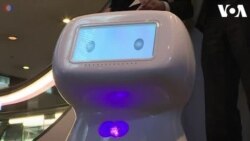 Robot Asisten Ramaikan Bandara Haneda, Tokyo