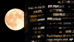 ARCHIVO - Una superluna pasa detrás de las ventanas iluminadas de un rascacielos en Nueva York, el 1 de agosto de 2023. 