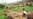 New Report Shows Cambodian Forests in Jeopardy