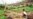Report Blames Tycoon For Major Forest Destruction