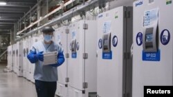 A worker passes a line of freezers holding coronavirus disease (COVID-19) vaccine candidate BNT162b2 at a Pfizer facility in Puurs, Belgium in an undated photograph. (Pfizer/Handout via REUTERS)