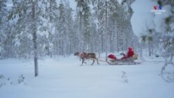 Ձմեռ պապը սկսում է իր ամենամյա ճանապարհորդությունը աշխարհով մեկ՝ Արկտիկայի շրջանի ձնառատ Ռովանիեմից, իր սահնակով դուրս գալով Լապլանդիայից