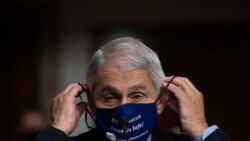 Dr. Anthony Fauci, Director of the National Institute of Allergy and Infectious Diseases at the National Institutes of Health, listens during a Senate Senate Health, Education, Labor, and Pensions Committee Hearing on the federal government response…