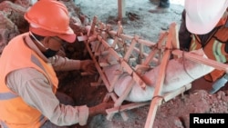 Archaeologists from Mexico's National Institute of Anthropology and History (INAH) unearth the bones of more than 10,000-year-old mammoths at the construction site of Mexico's new international airport, in Zumpango, near Mexico City May 26, 2020. (REUTERS/Henry Romero)