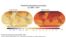 Change in average surface temperature