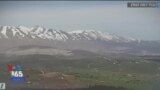 اخبار شبانگاهی