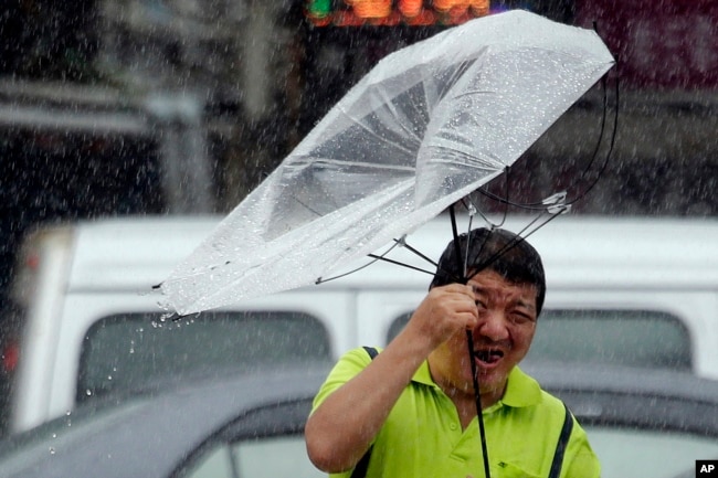 Wind has destroyed many umbrellas all across the world. Here, a Taiwanese man holds an umbrella against powerful gusts of wind generated by typhoon Lekima in Taipei, Taiwan, Friday, Aug. 9, 2019. (AP Photo/Chiang Ying-ying)