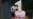 Washington Zoo's Baby Panda, Bao Bao Celebrates Birthday