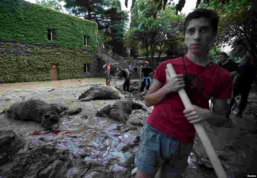 Voluntários removem detritos no zoológico em Tbilisi, Geórgia, 15 de Junho, 2015.