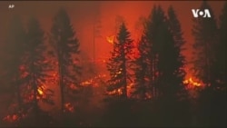 科學家稱氣候暖化導致美西野火惡化