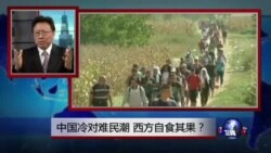 焦点对话：中国冷对难民潮，西方自食其果？