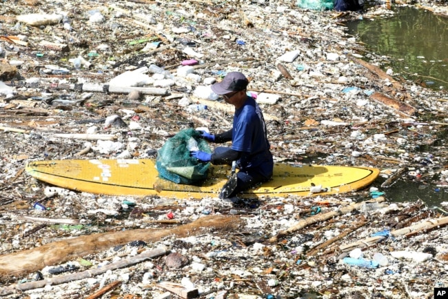 An environmental activist sits on a surf board as he picks up trash from a garbage-strewn river during a river clean up in Pecatu, Bali, Indonesia on Friday, March 22, 2024. (AP Photo/Firdia Lisnawati)