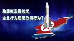 热点快评: 助朝鲜发展核武,企业行为还是政府行为？