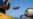 16x9 Image