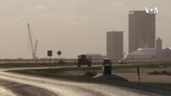 Mars Rocket Crafted