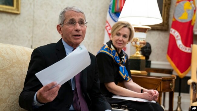 Bác sĩ Anthony Fauci (cầm giấy) là một trong những chuyên gia y tế hàng đầu giúp hướng dẫn nỗ lực ứng phó của Mỹ đối với dịch virus corona vốn đã quét qua khắp nước Mỹ.