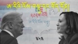 ཨ་རིའི་འོས་བསྡུ་ཆེན་མོ་དང་བོད་དོན།
