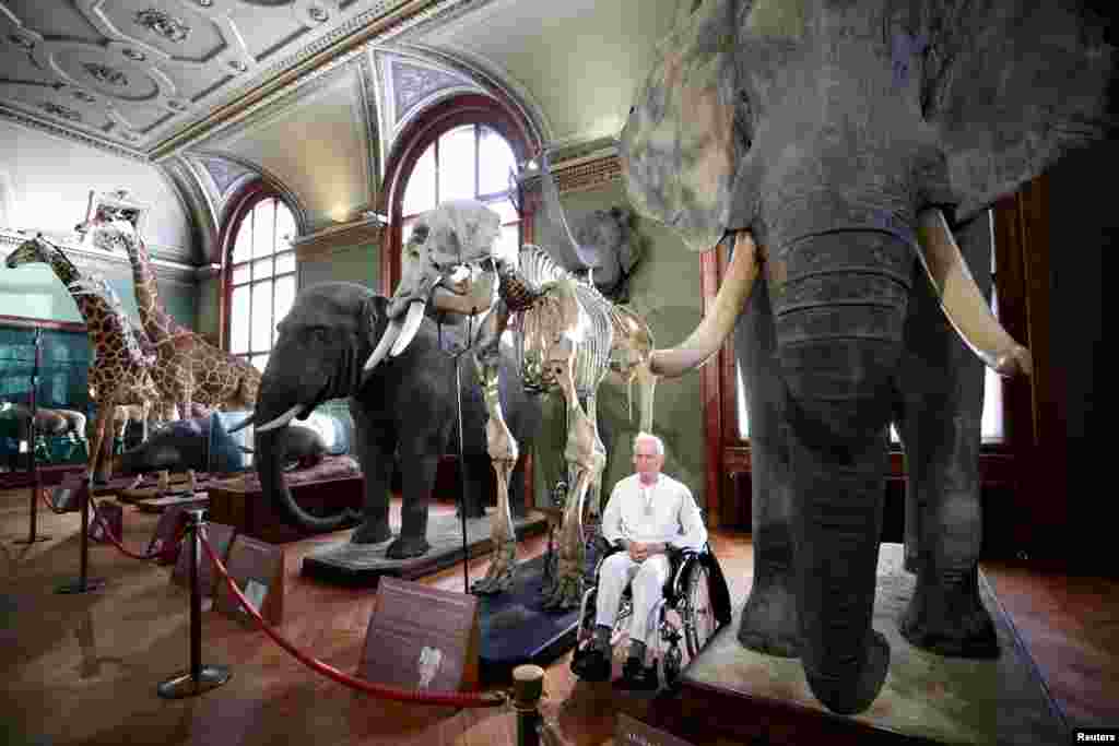 A climate change activist sits between a skeleton and a taxidermied elephant ahead of a die-in protest of Extinction Rebellion at the Natural History Museum in Vienna, Austria.