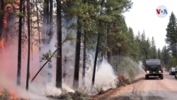 Persisten las llamas en el incendio forestal mas grande de EE. UU.