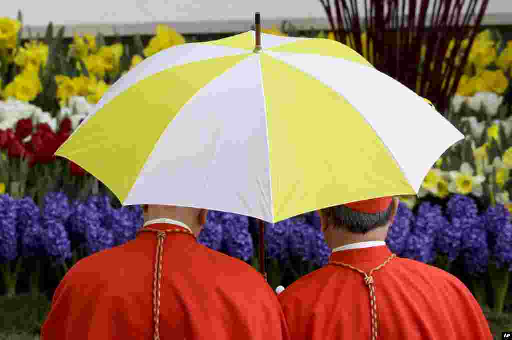 Two cardinals shelter from the rain as they attend Easter Mass, in St. Peter's Square, at the Vatican, April 16, 2017. 