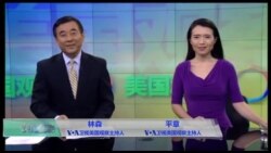VOA卫视(2016年11月15日 美国观察)