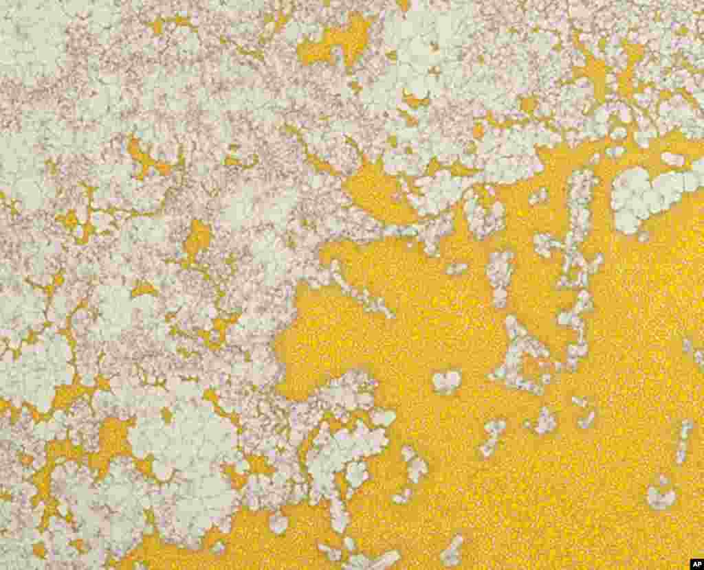 画家笔下的土星卫星泰坦表面的复杂构图，源于“卡西尼”号探测器从土星发回的照片。“卡西尼”号经过7年的飞行于2004年7月抵达土星，开始长达4年的使命。