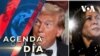 Donald Trump en Nueva York y Kamala Harris en Filadelfia, así fue la jornada del domingo 27 de octubre de los candidatos a la presidencia de EEUU.