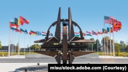  ناتو مدعی است که اقدامات اخیر مسکو و بیجینگ، امنیت بین‌المللی را با خطر جدی مواجه کرده است. در این بیانیه، روسیه به نقض توافق‌نامه‌‌های کلیدی کنترول تسلیحات و توسل به لفاظی‌های غیرمسوولانه متهم شده است.