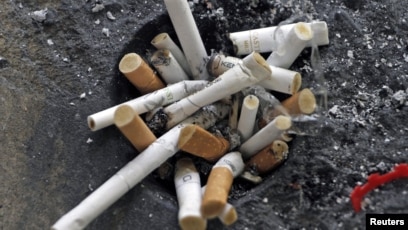 used cigarettes Are Cigarette Butts Biodegradable?