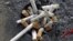 Cigarette butts are seen in an ashtray in Los Angeles, California, May 31, 2012. 