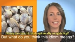 Thành ngữ tiếng Anh thông dụng: Clam Up