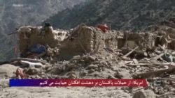 امریکا: از حملات پاکستان بر دهشت افگنان حمایت می کنیم