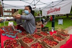 Nancy Sharabarin hands money to a customer buying strawberries at the Saturday farmers market as businesses open up with a successful vaccination campaign in Portland, Ore., June 5, 2021.