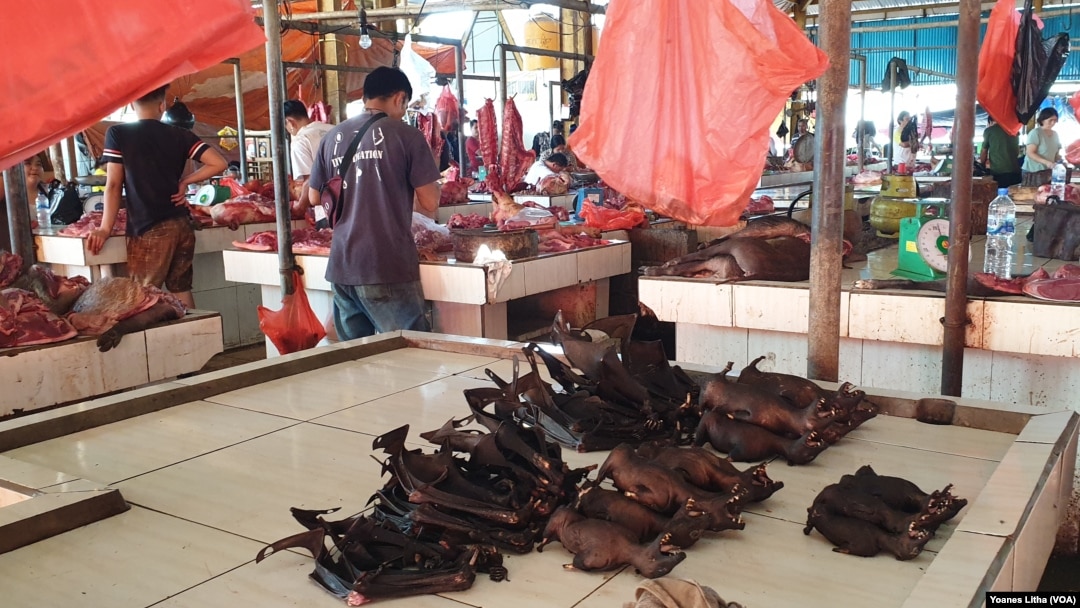 Daging kelelawar yang dijual seharga Rp 50 ribu per kilogram di pasar ekstrem Tomohon, Sulawesi Utara, 10 Maret 2020. (Foto: Yoanes Litha/VOA)