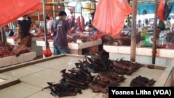 Daging kelelawar yang dijual seharga Rp 50 ribu per kilogram di pasar ekstrem Tomohon, Sulawesi Utara, 10 Maret 2020. (Foto: Yoanes Litha/VOA)