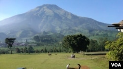 Daerah pedesaan di Temanggung, Jawa Tengah. (Foto: Dok)