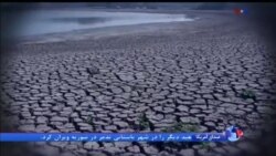 اخبار شامگاهی