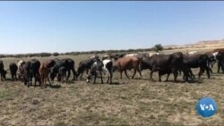 Washington Fora d'horas 7 de Maio 2019