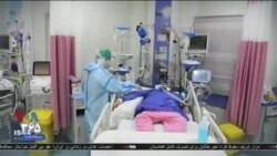 اخبار شبانگاهی